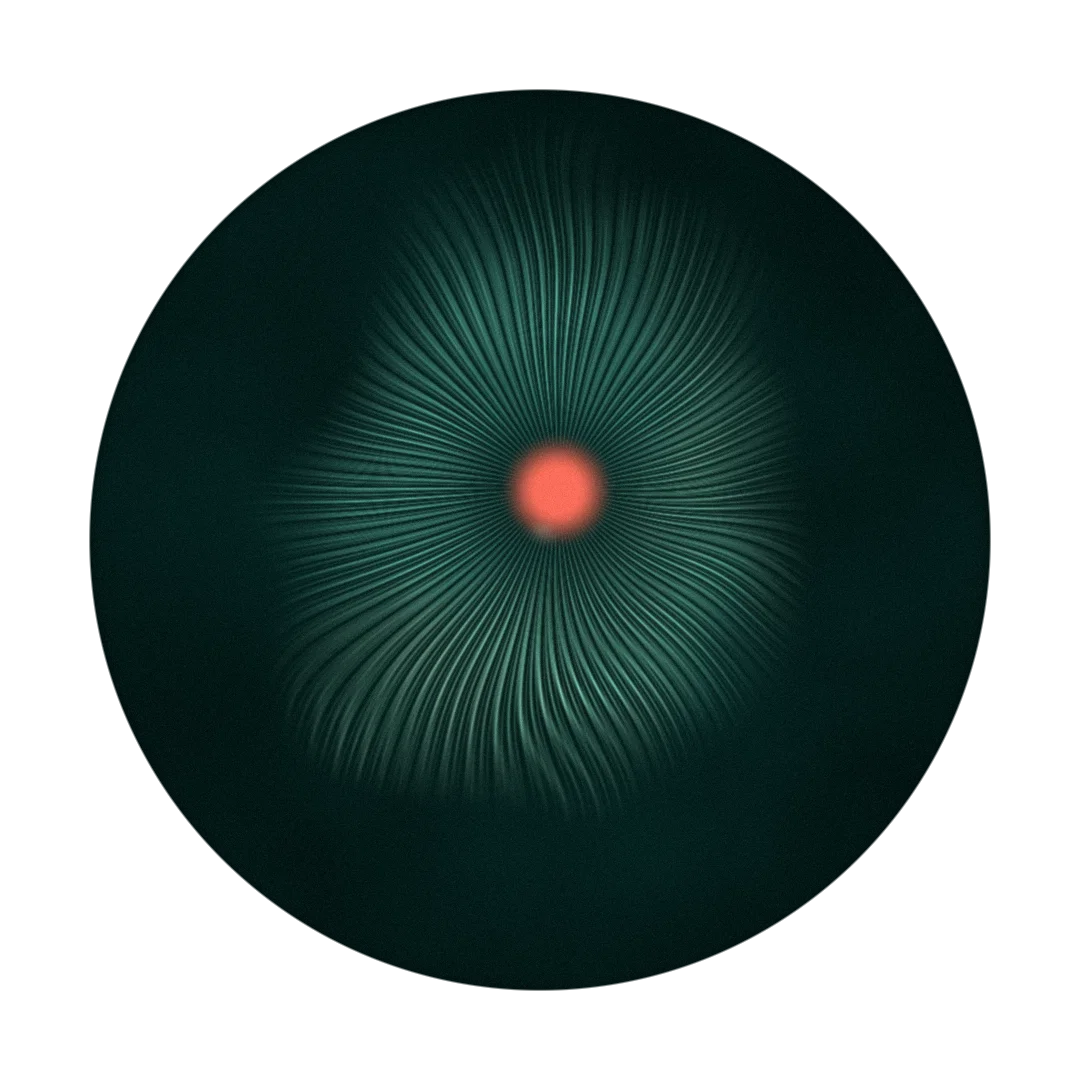 NOHO cover