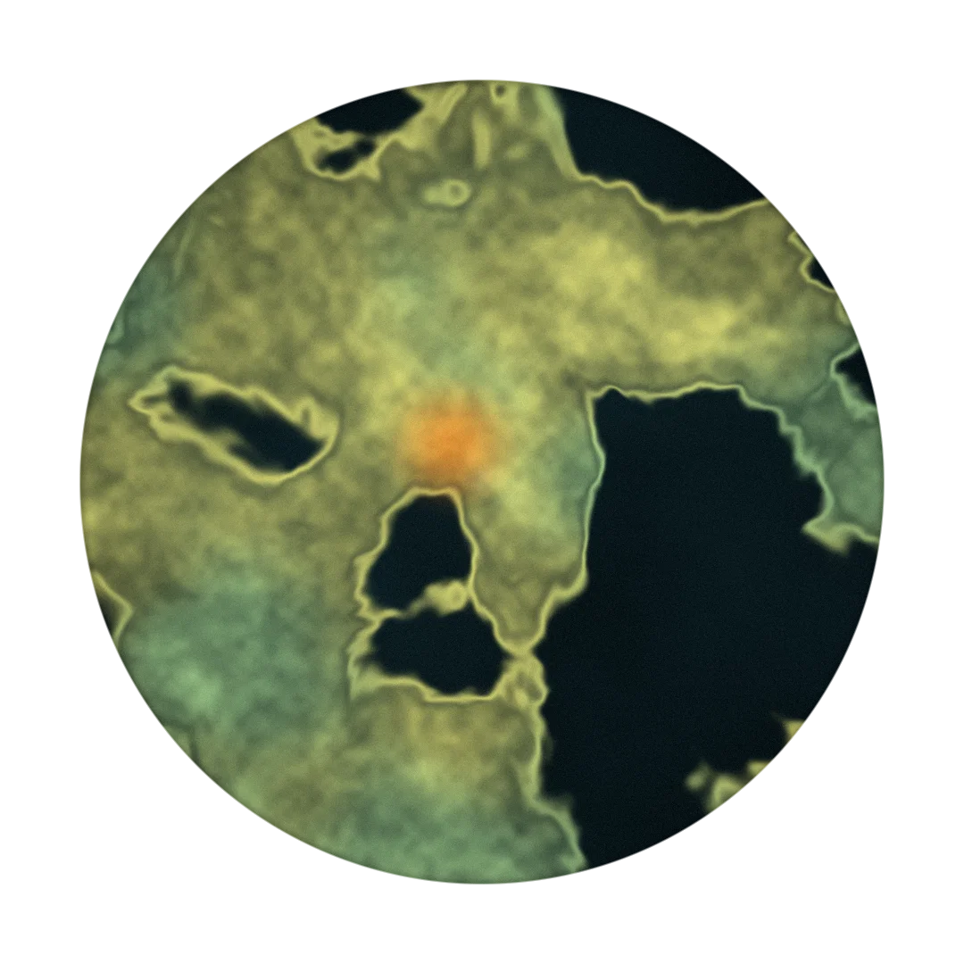 ARGON cover