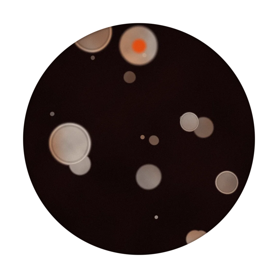 PLANET cover