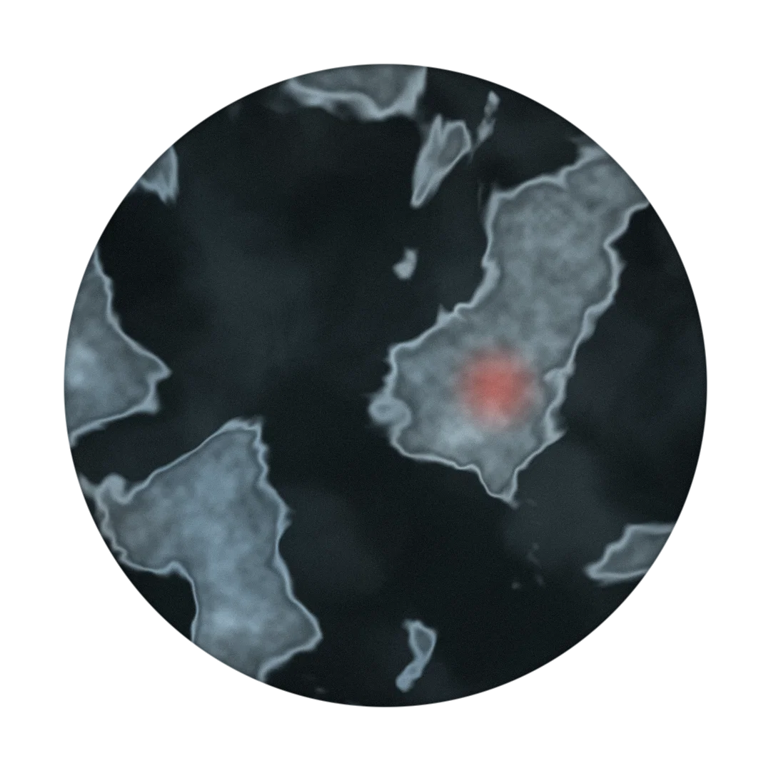 SALT WATER cover
