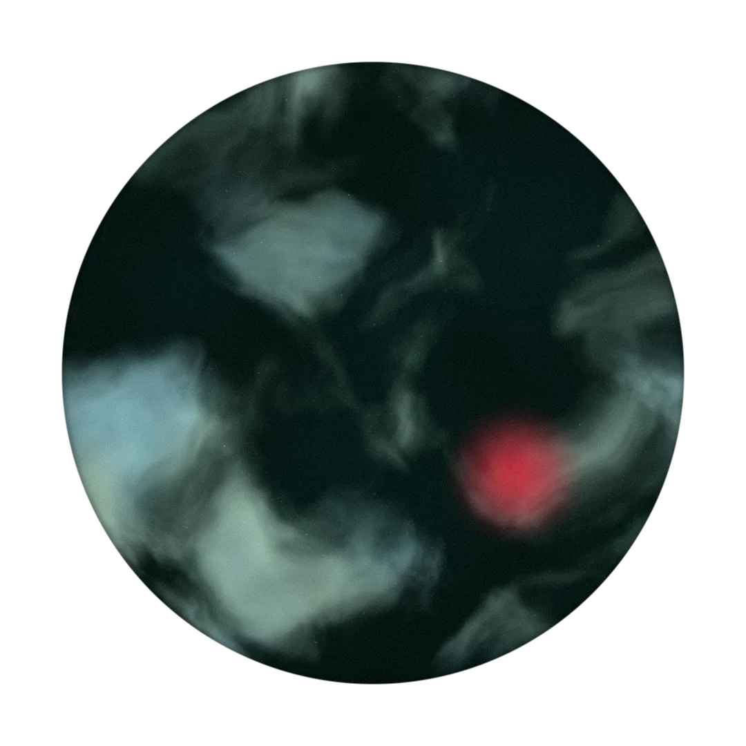 SEASONS cover