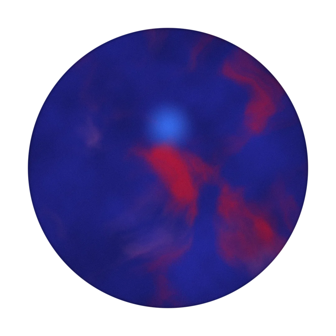 RIFE cover