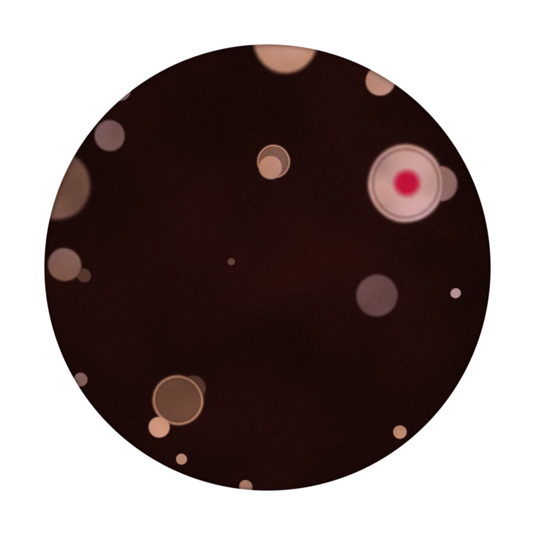 VALET II cover