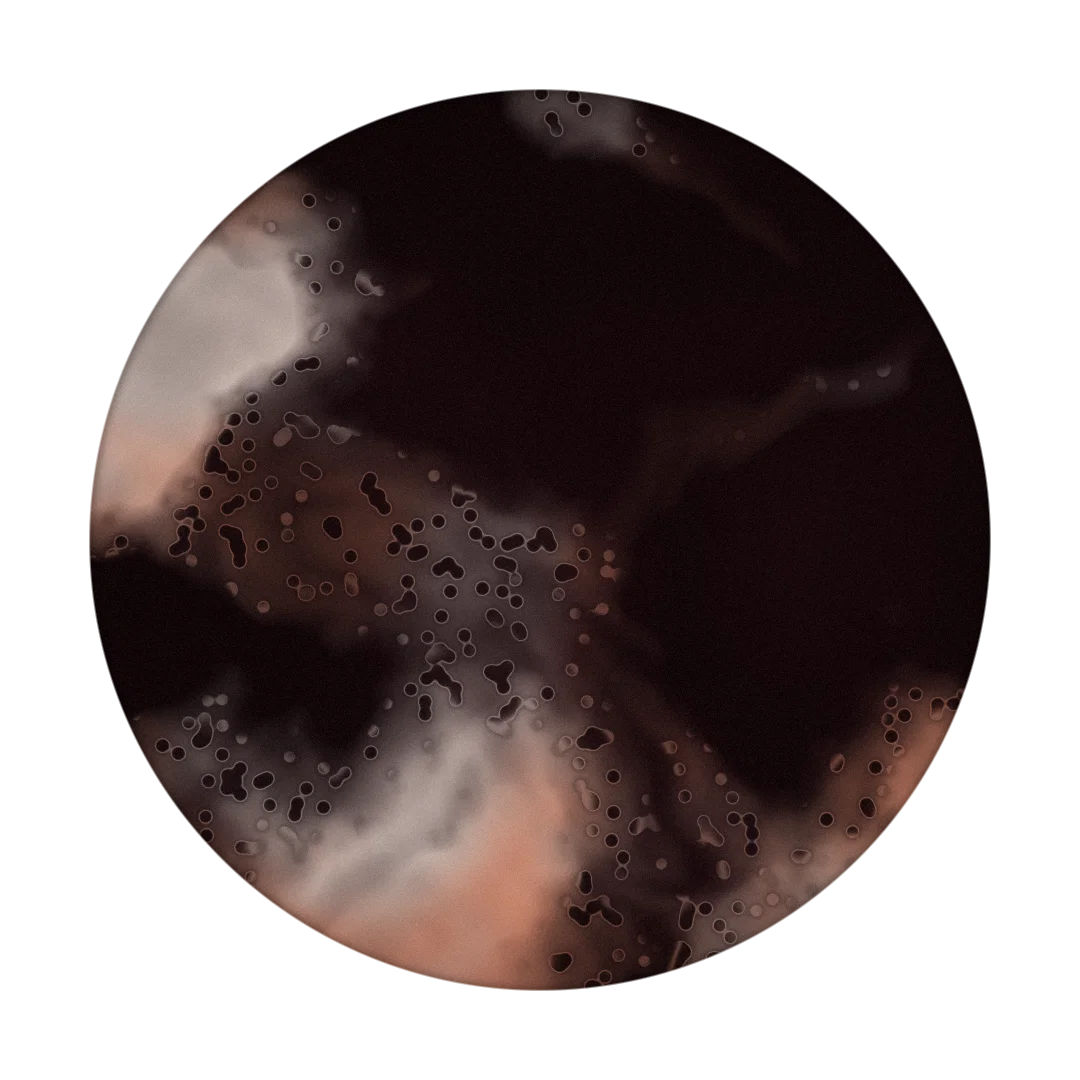 TRITON cover