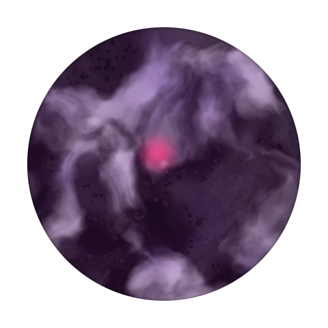 HEIGGH cover