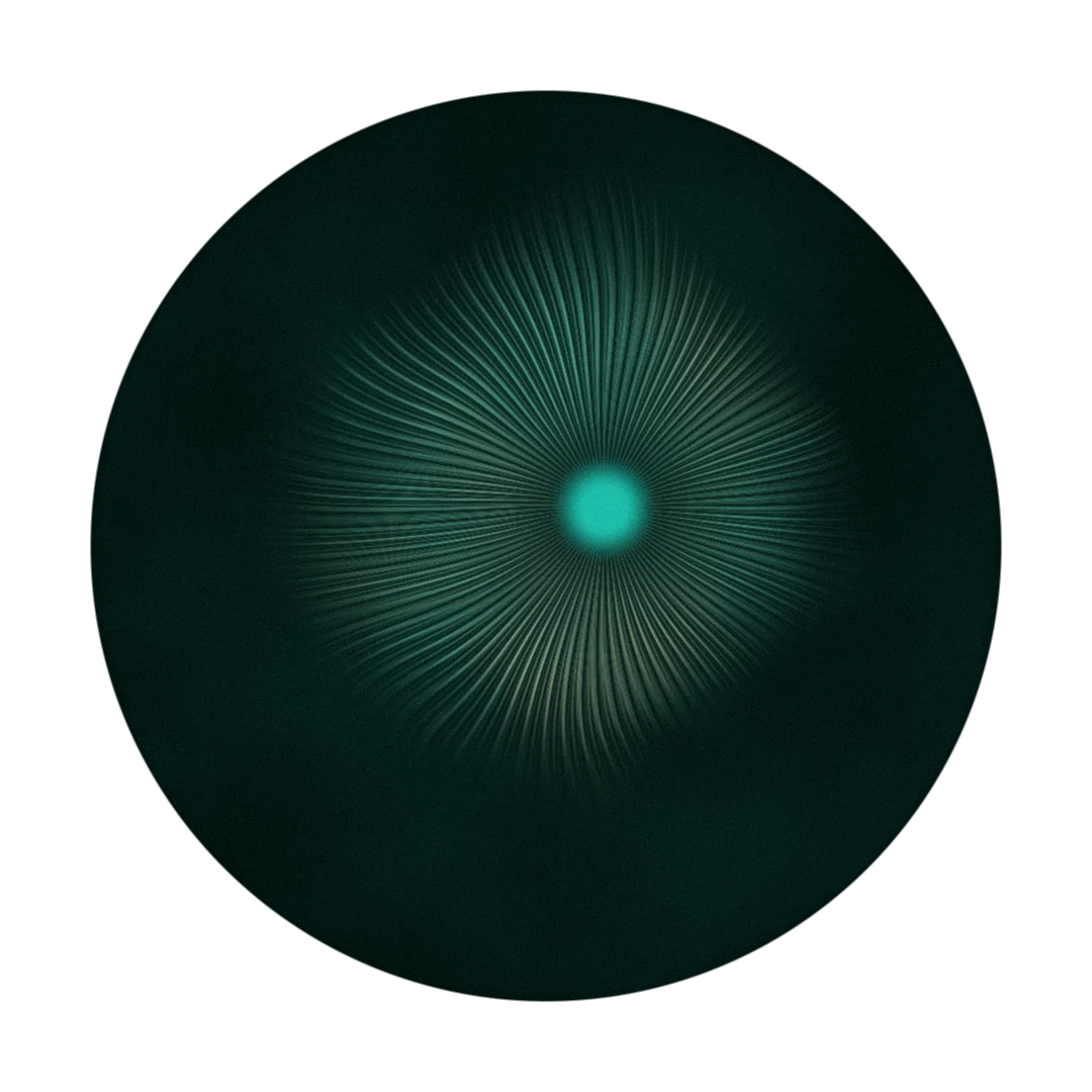 HYLIA cover