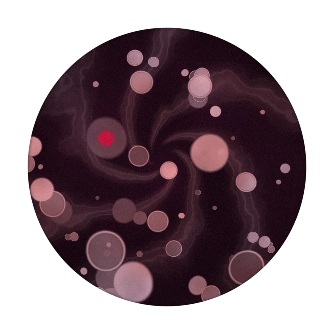 JELLY cover