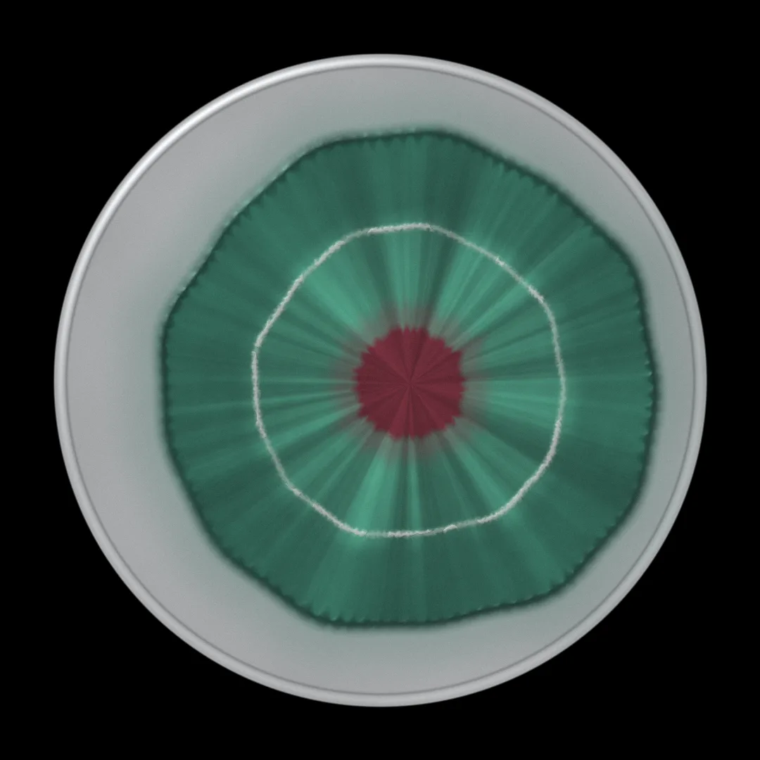 KINETIC cover