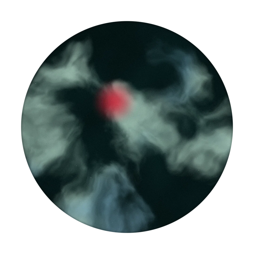 NIGHTSHADE cover