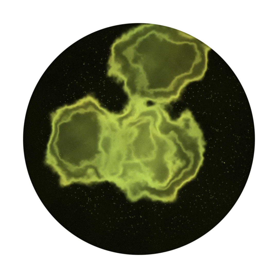 LIMIT cover