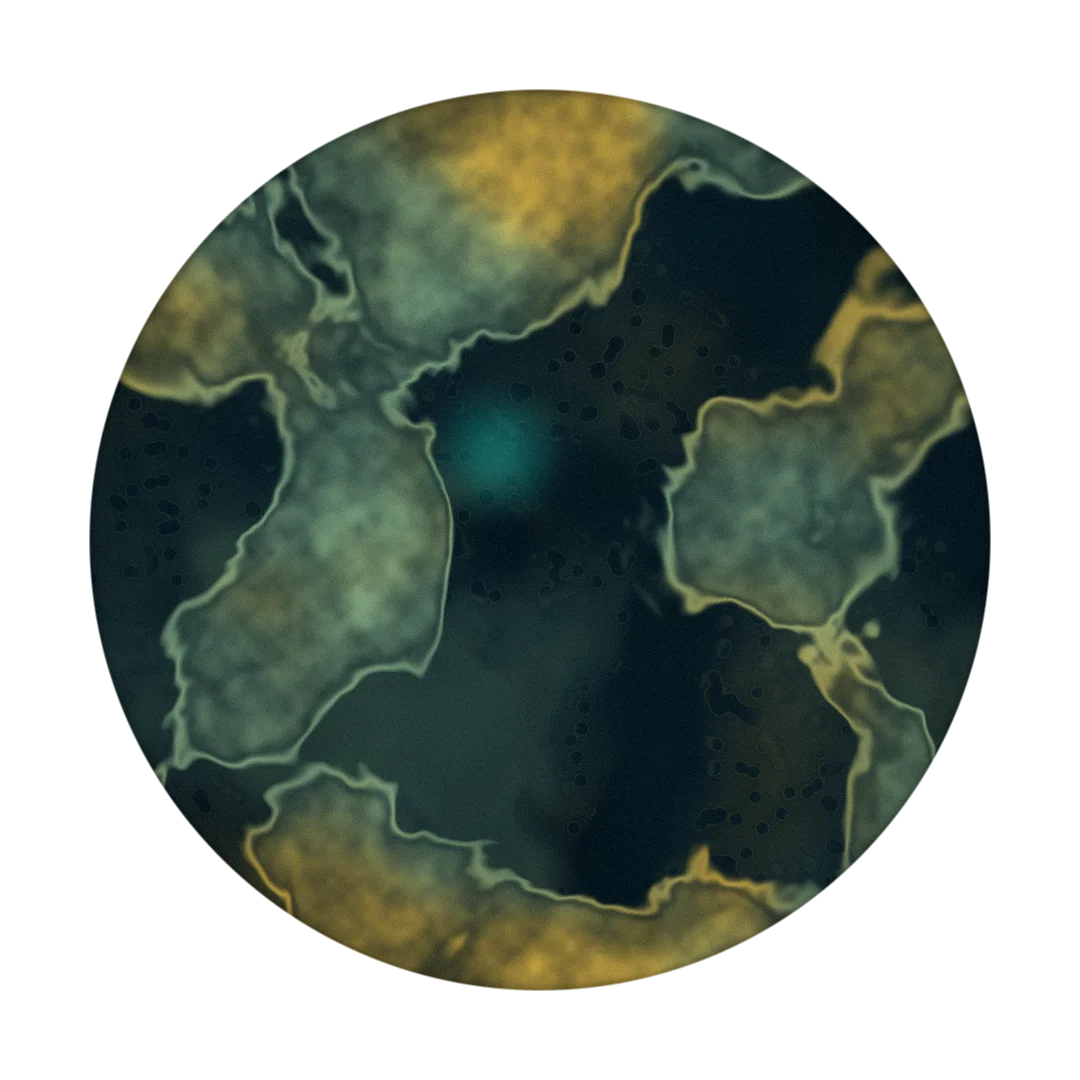 MAJORA cover