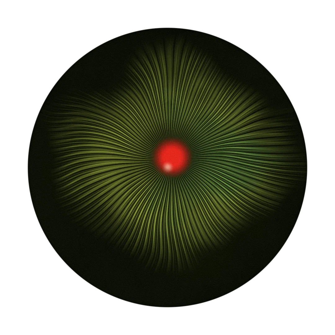 MAKIRA cover