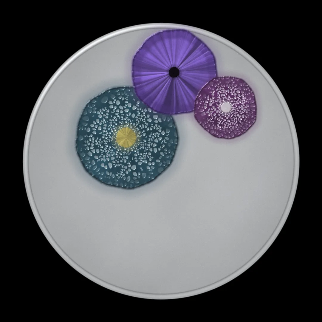 MICROSOFT cover