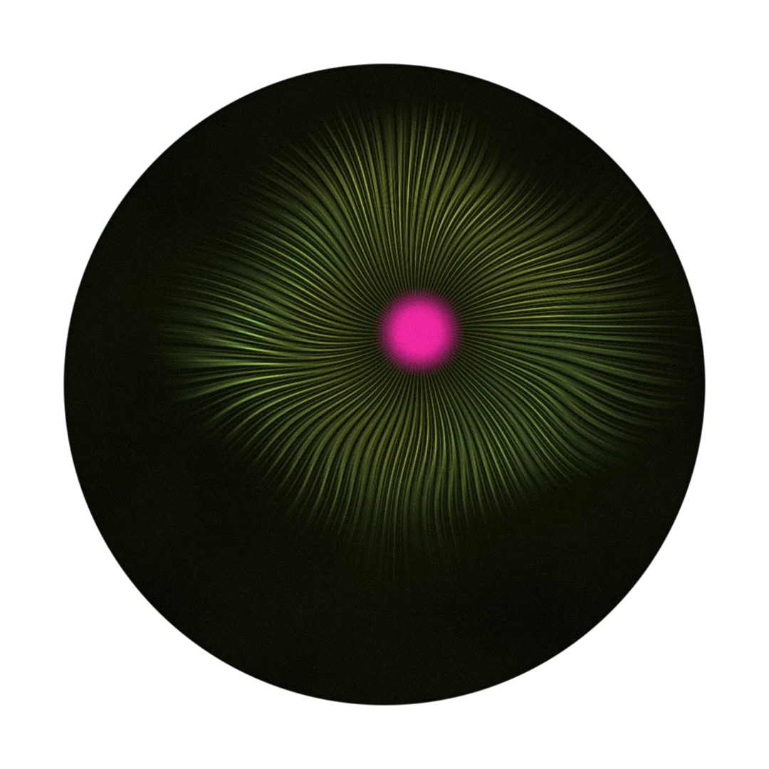 MINK cover