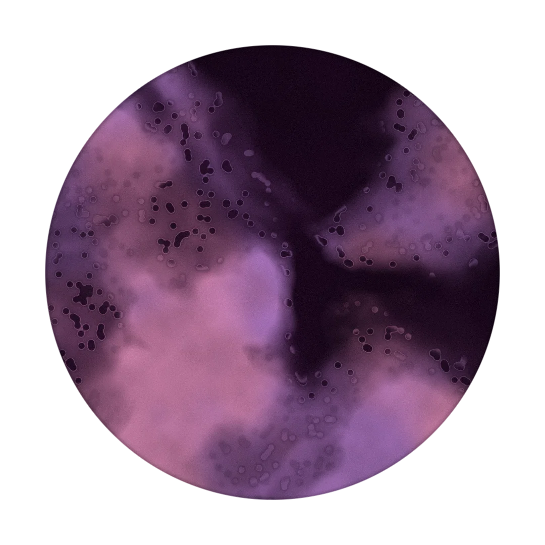 NEBULA cover