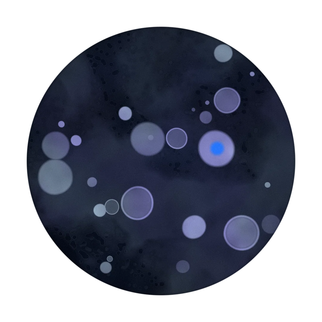 NEMO II cover