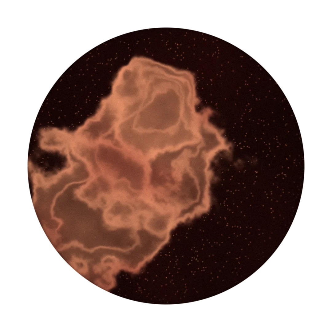 NETWORK cover