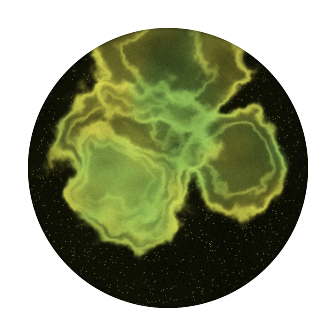 ONYX II cover