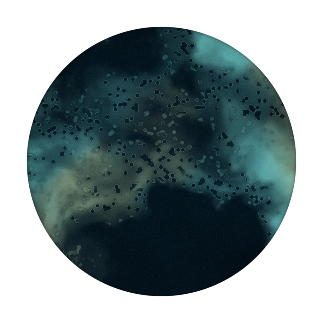 PLASTIC cover