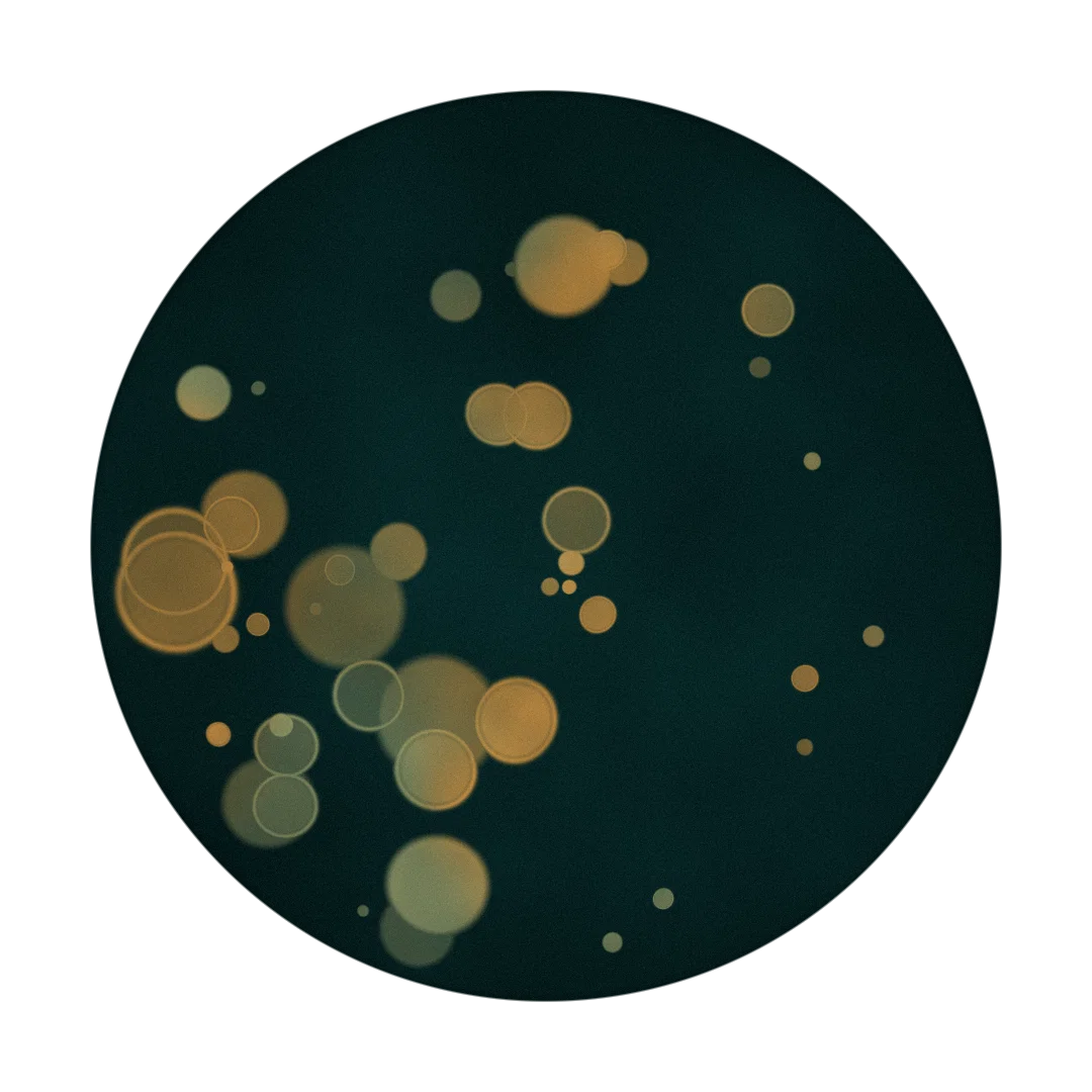 PLUTONIUM cover