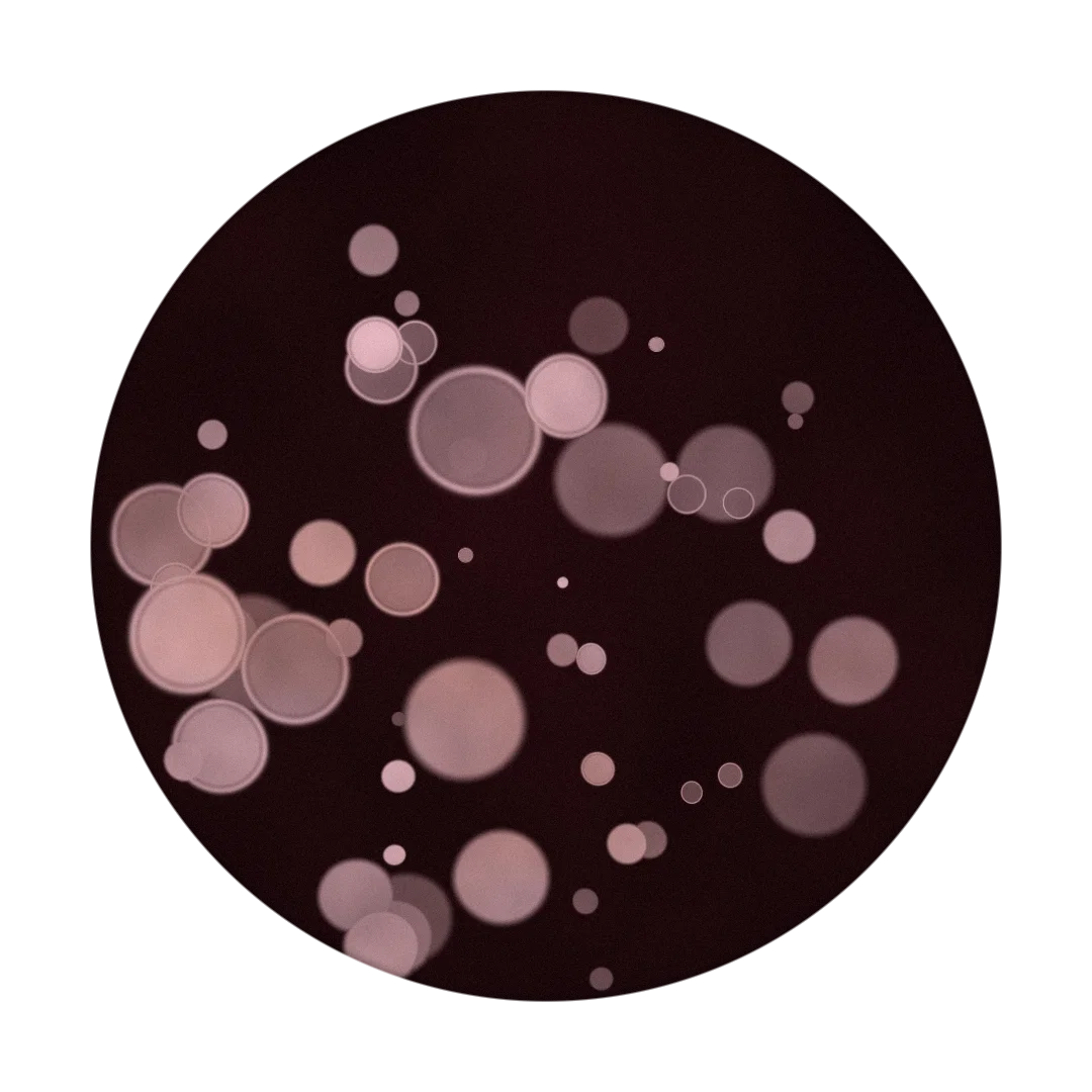 POLACE cover