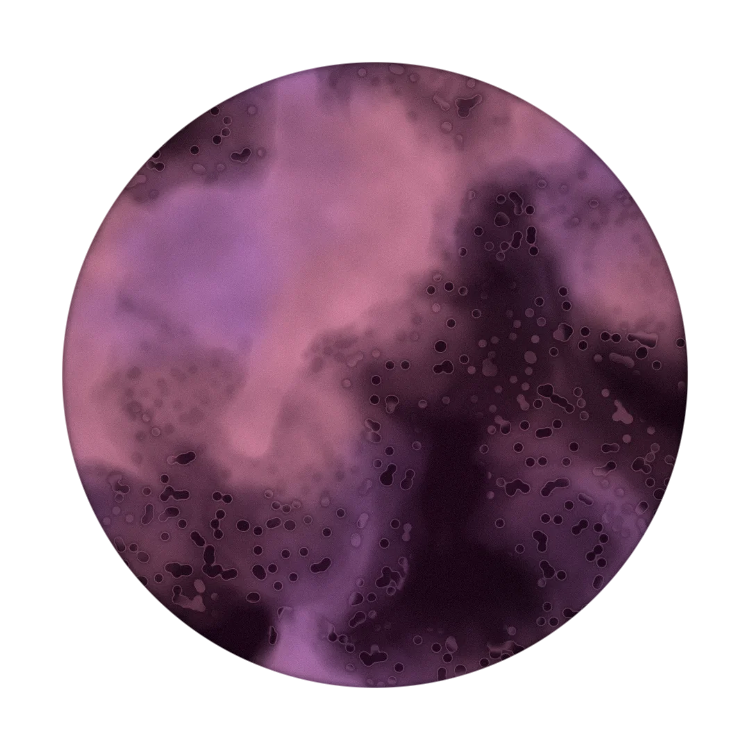 RAIDS cover