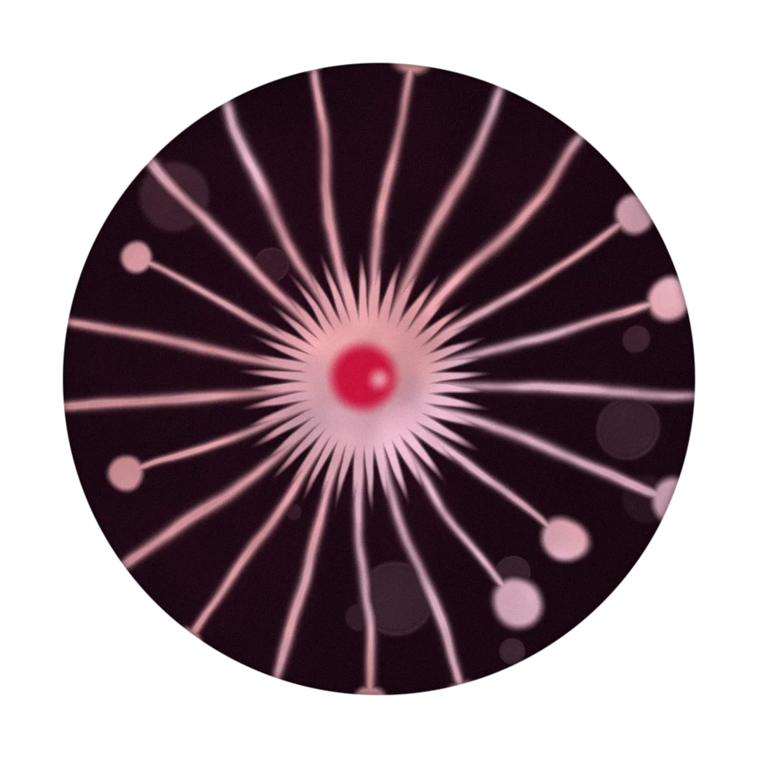 SALV cover