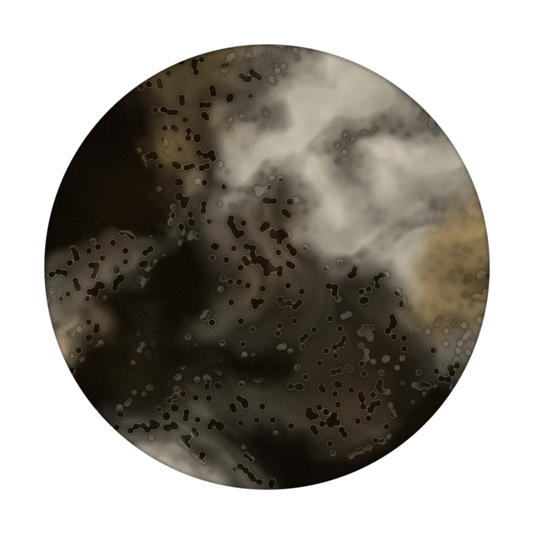 SEAL cover