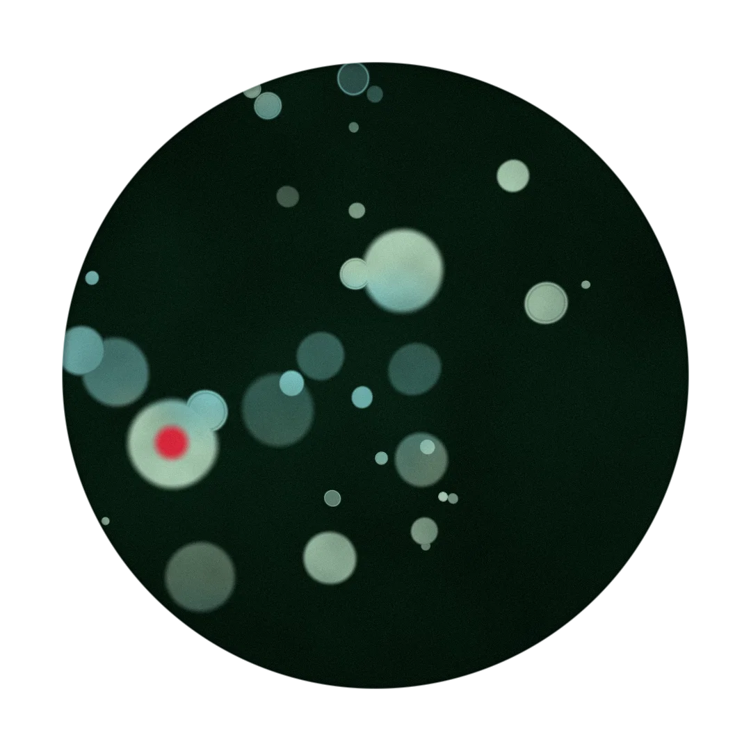 SERATONIN cover