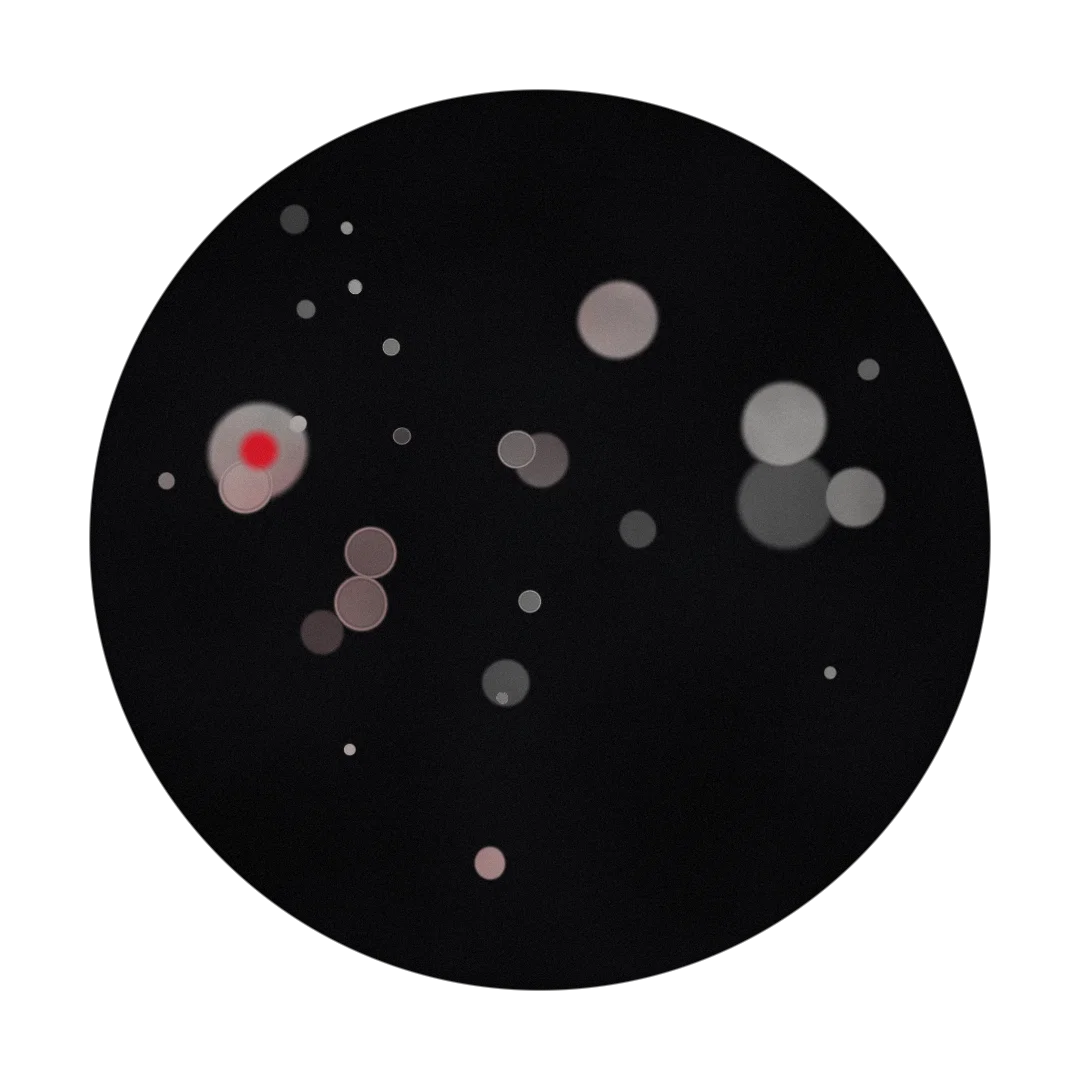 SHINJU cover