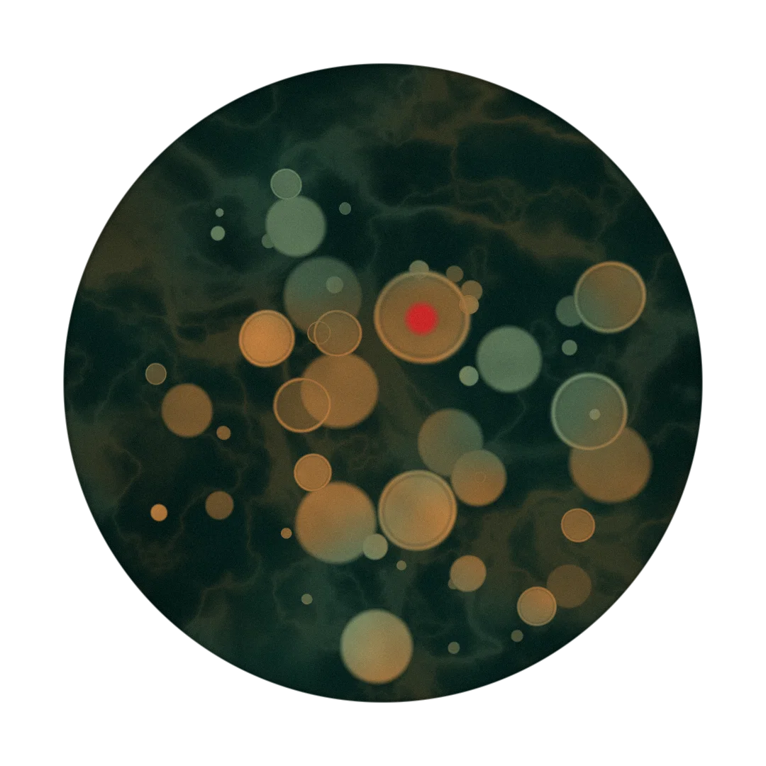 SHOWERS cover