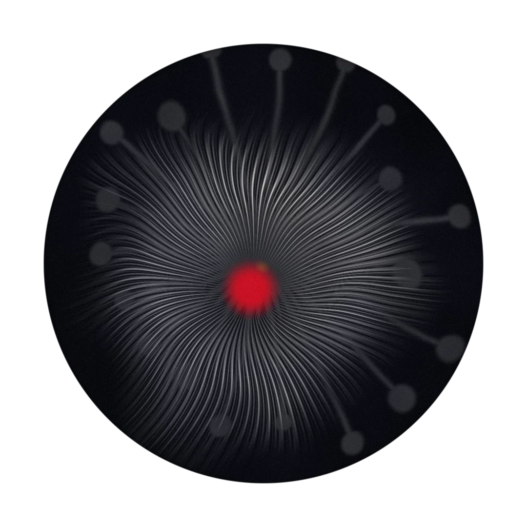 SILO cover