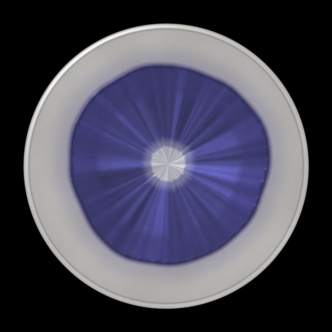SINUX cover