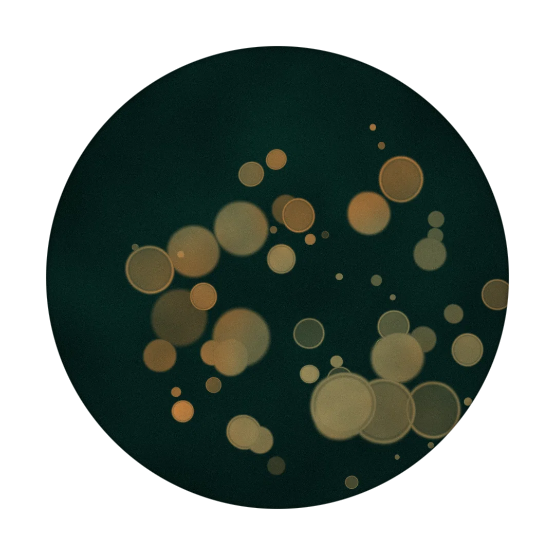 SOMNIA cover