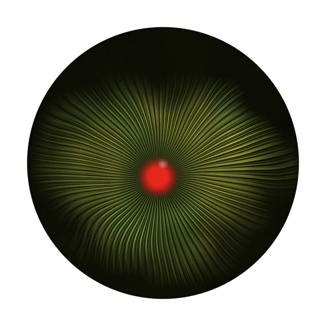 SPLINTER CELL cover