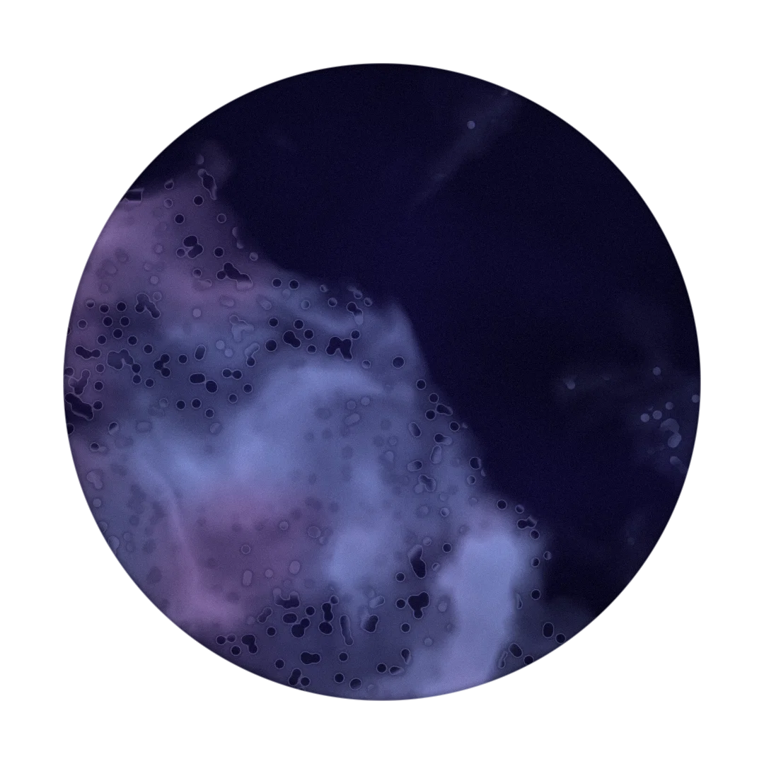 SYMBOLIC cover