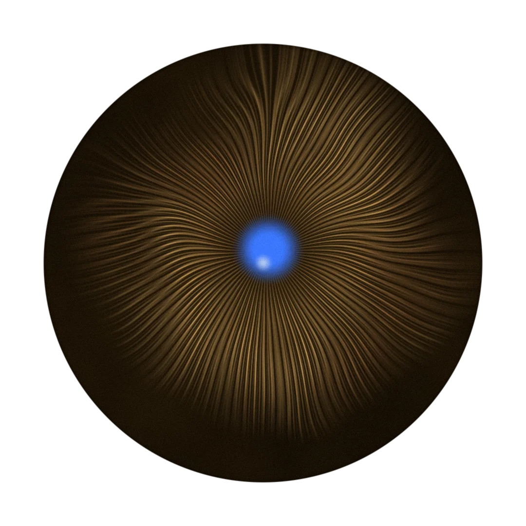 SYNERGY cover