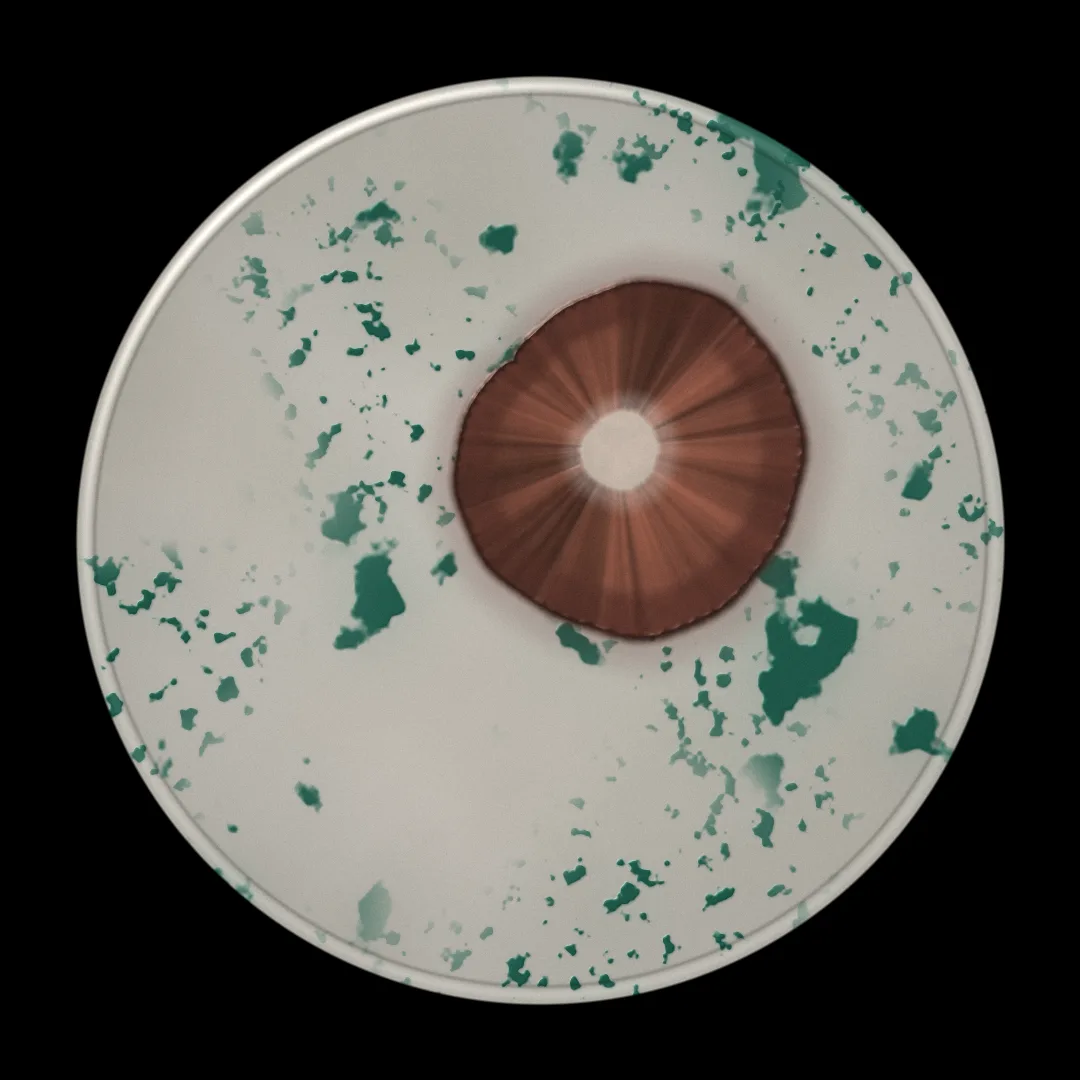 SYNOPSE cover