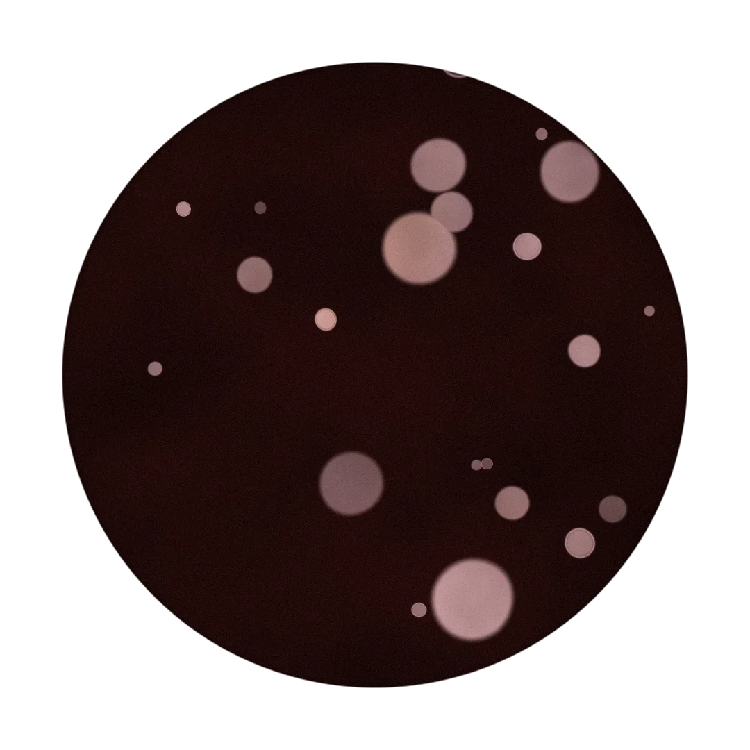 TAXTILE cover