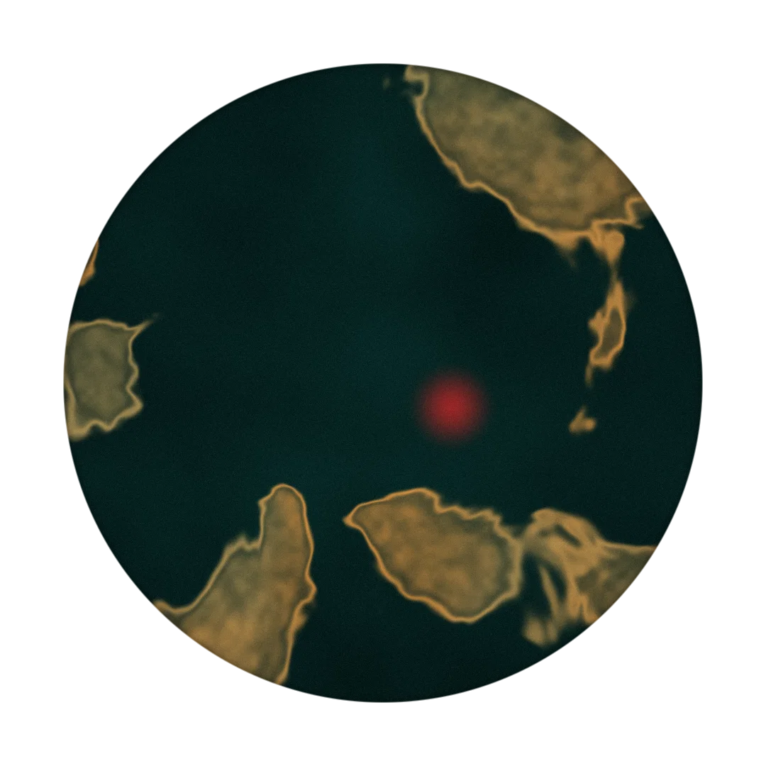 THERMAL cover
