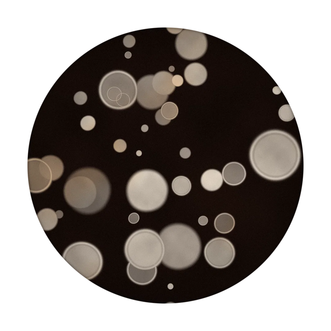 TIDAL II cover