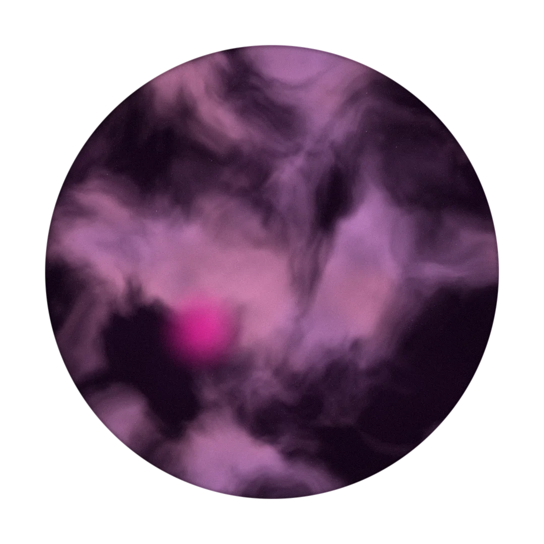 TINY cover