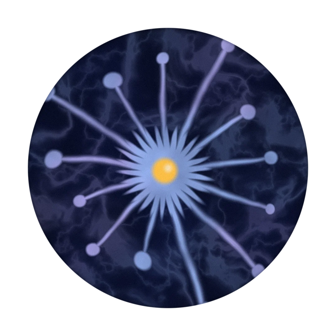 TRANSFER cover