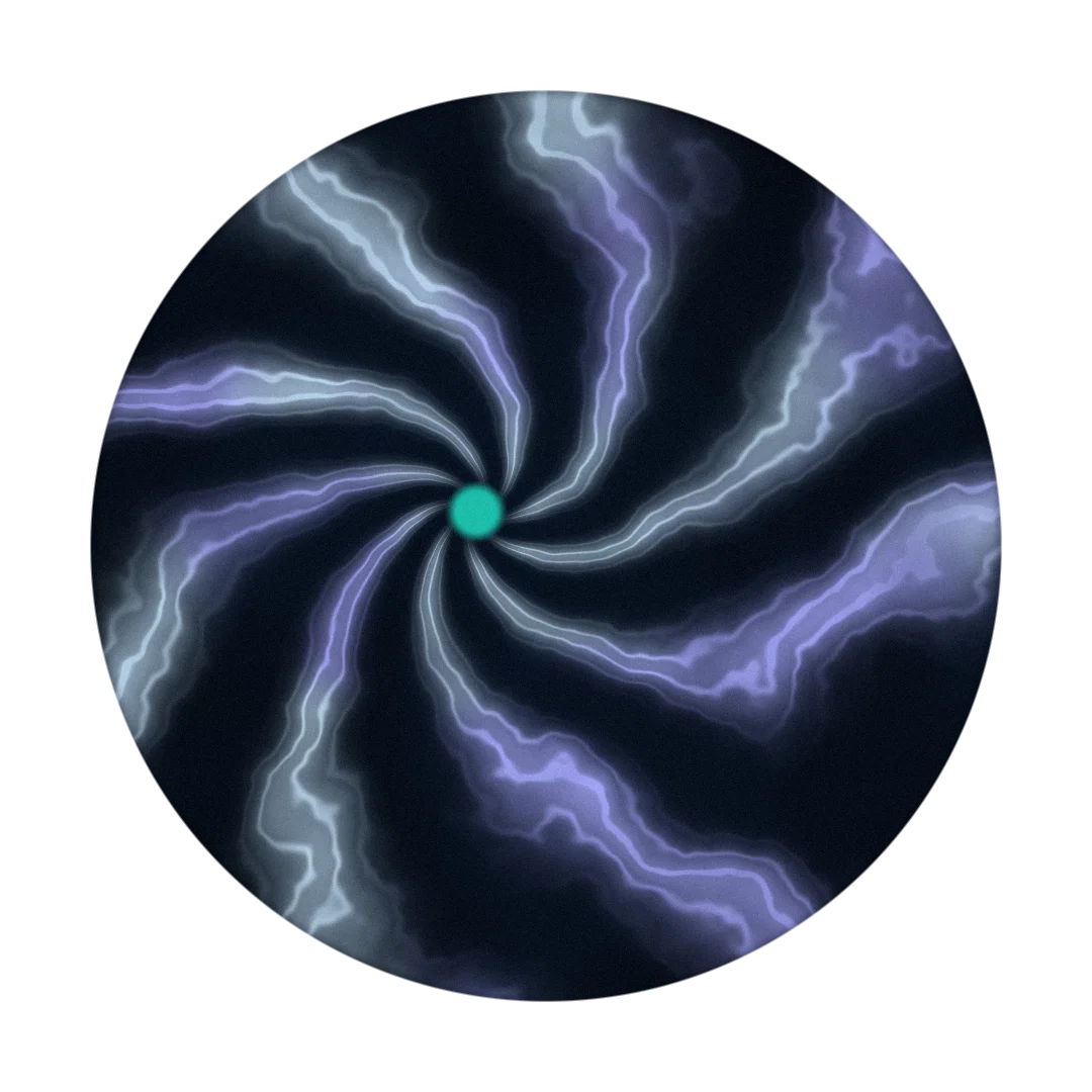 VENMO cover