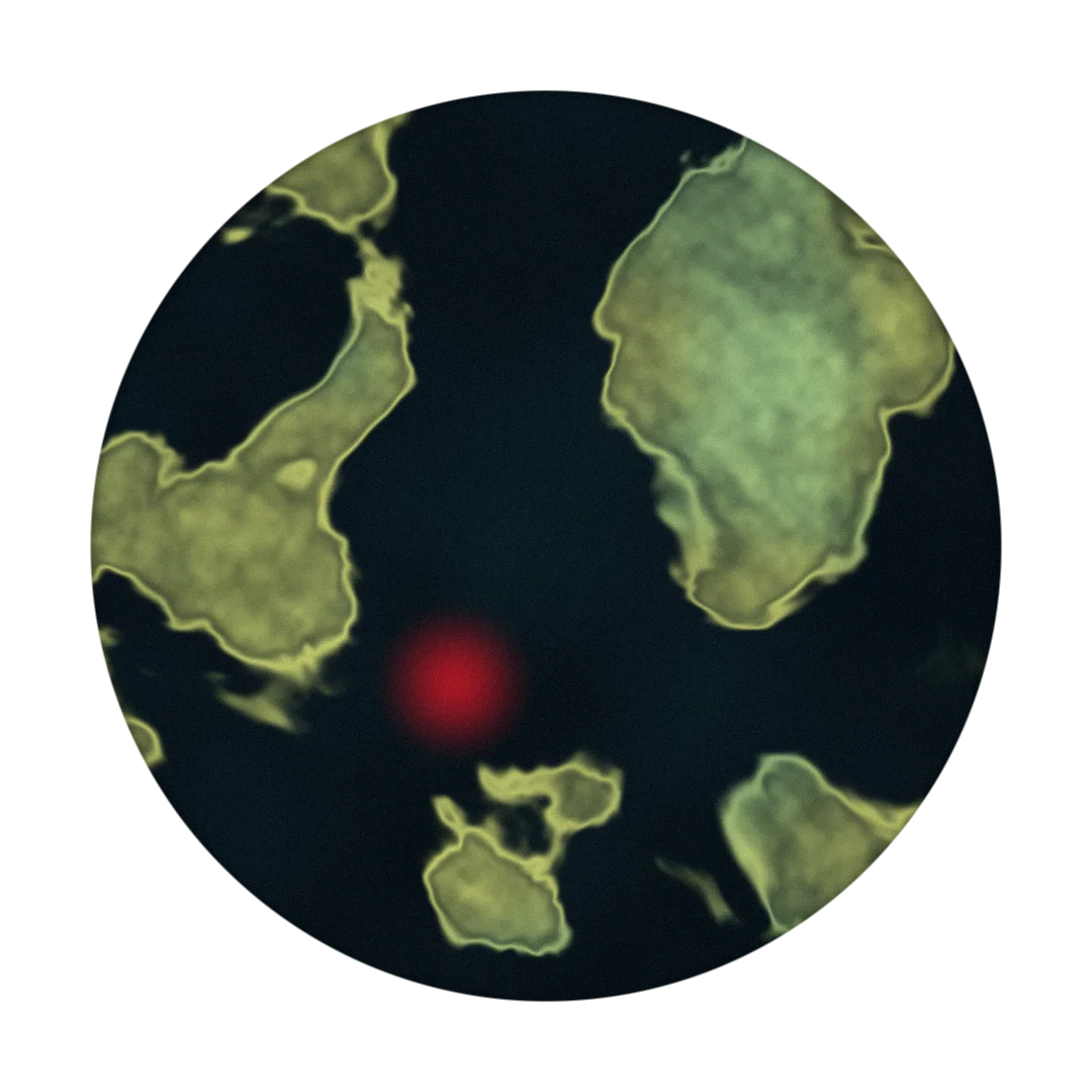 WAYPOINT cover
