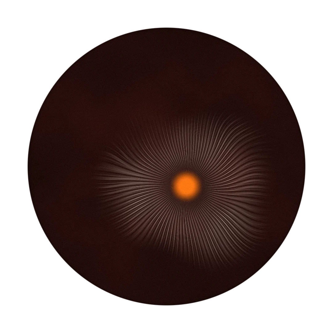 WHIRLPOOL cover