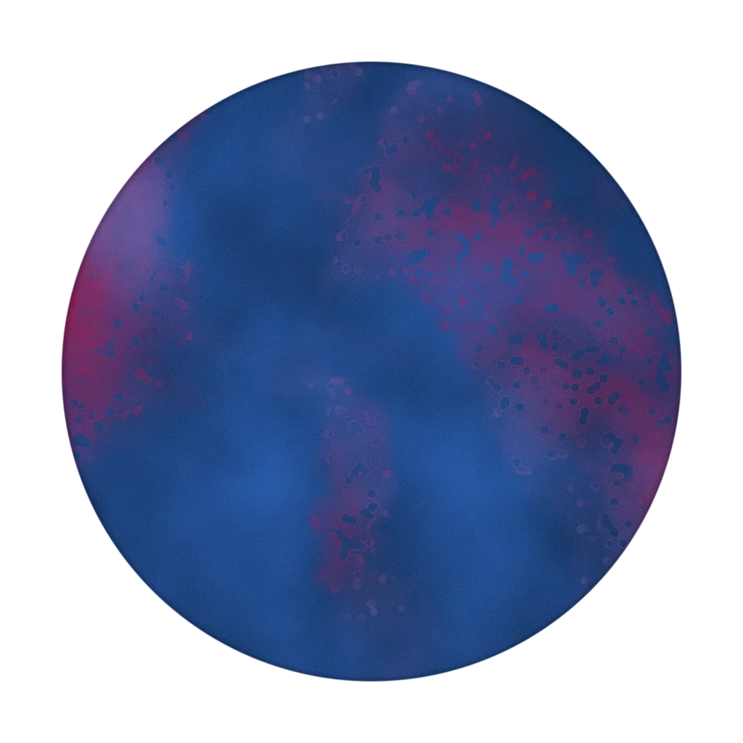 360X cover
