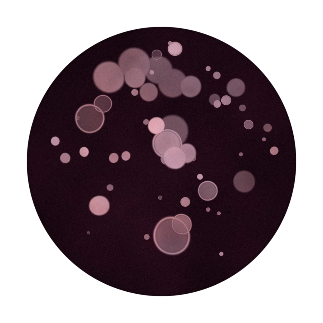 PLASMA cover