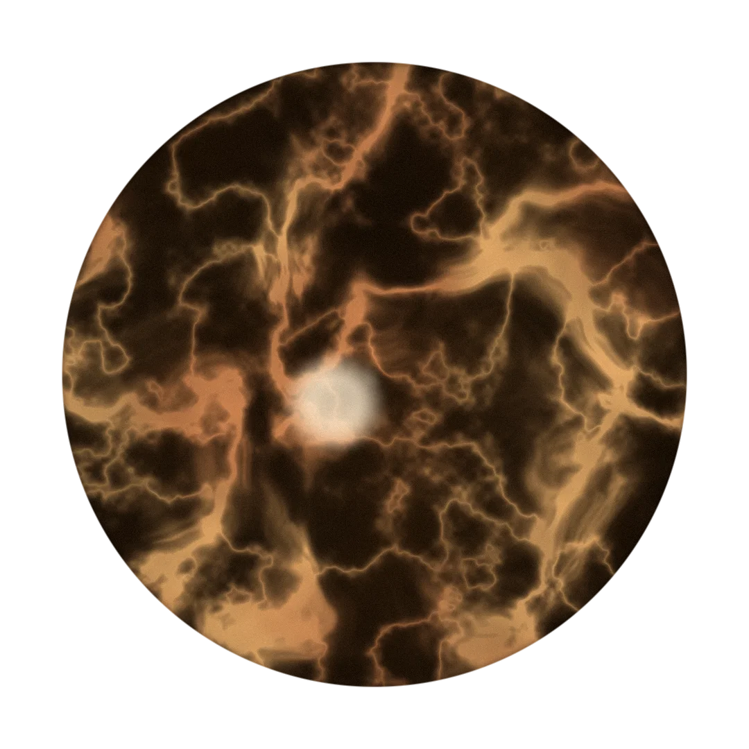 SWAN cover