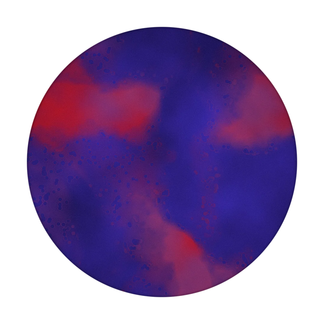 KROK cover